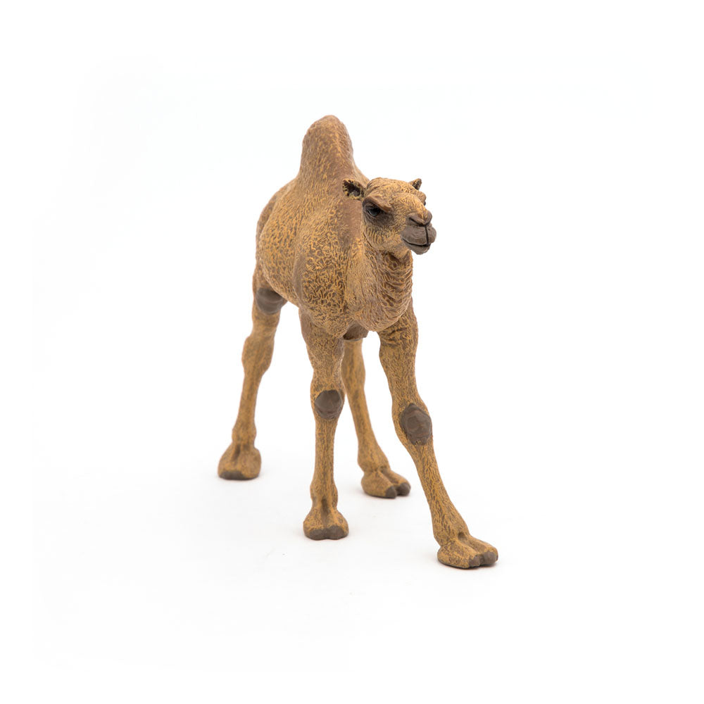 Papo Wild Animal Kingdom Dromedary Toy Figure