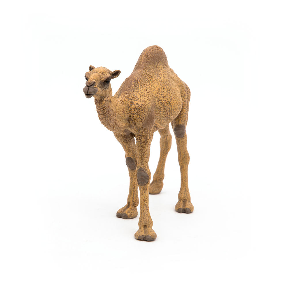 Papo Wild Animal Kingdom Dromedary Toy Figure