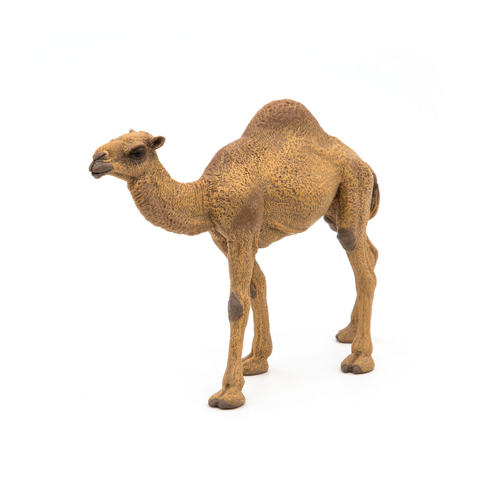 Papo Wild Animal Kingdom Dromedary Toy Figure