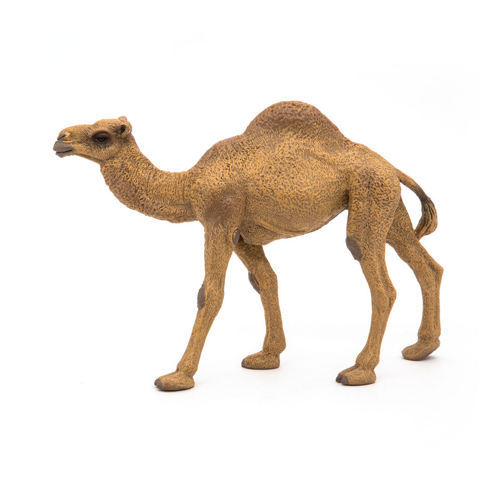 Papo Wild Animal Kingdom Dromedary Toy Figure