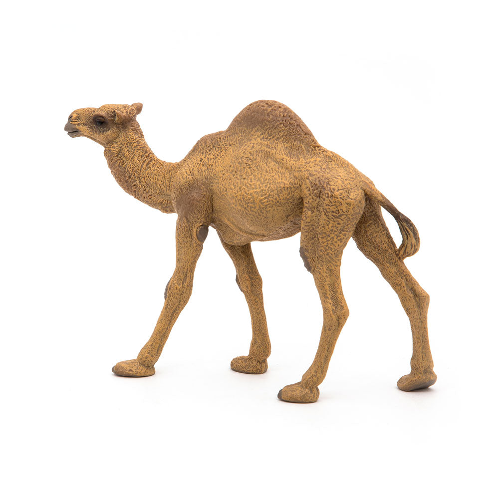 Papo Wild Animal Kingdom Dromedary Toy Figure