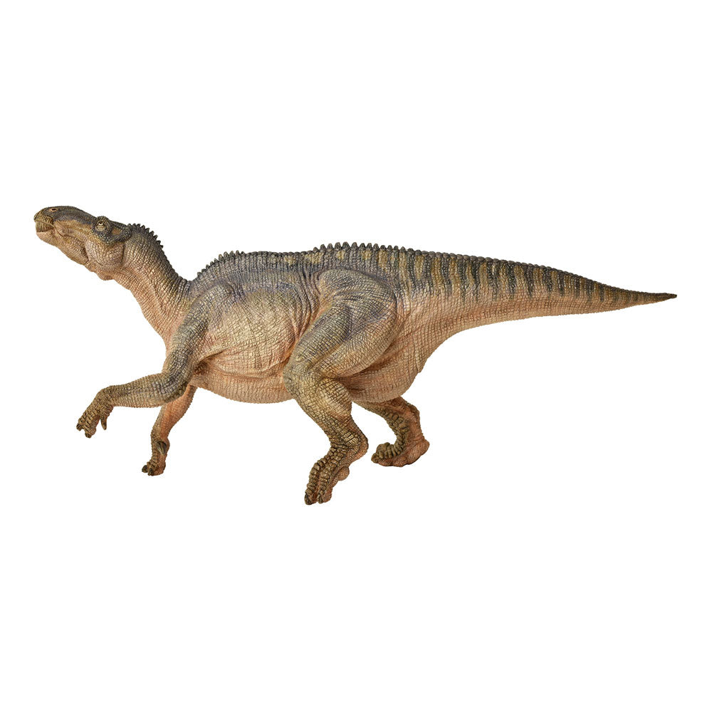Papo Dinosaurs Iguanodon Toy Figure