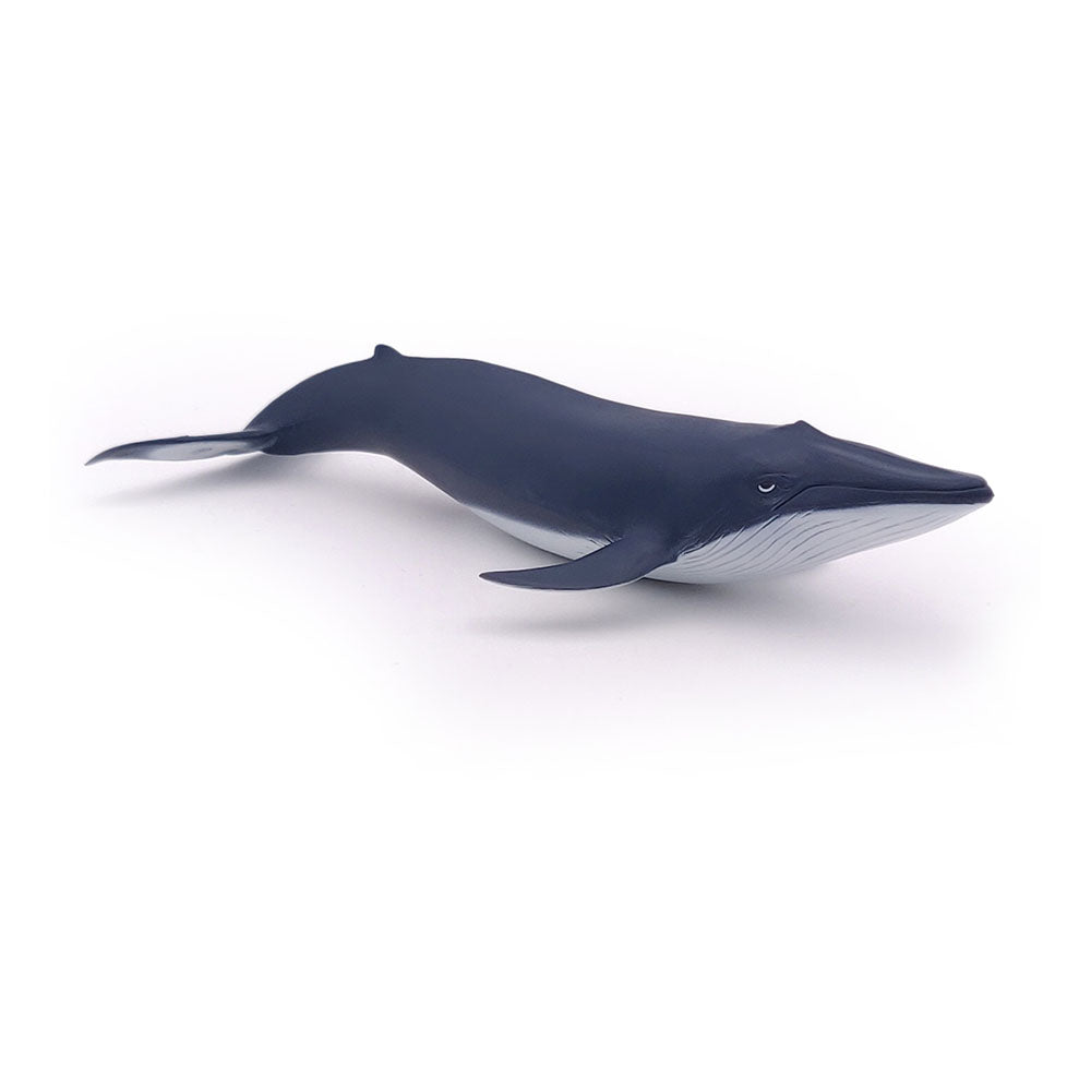 Papo Marine Life Blue Whale Calf Toy Figure