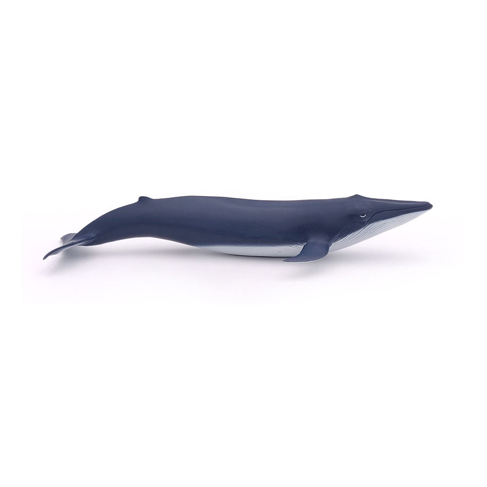 Papo Marine Life Blue Whale Calf Toy Figure
