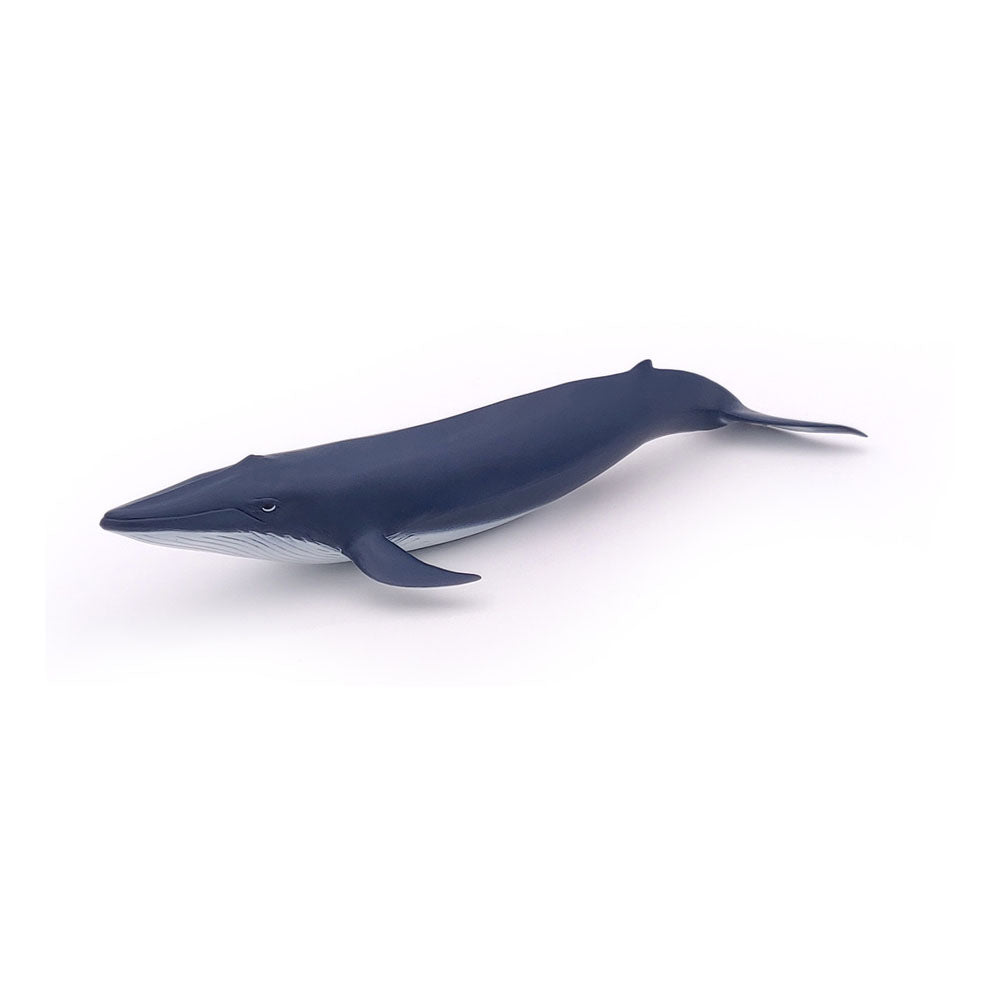 Papo Marine Life Blue Whale Calf Toy Figure