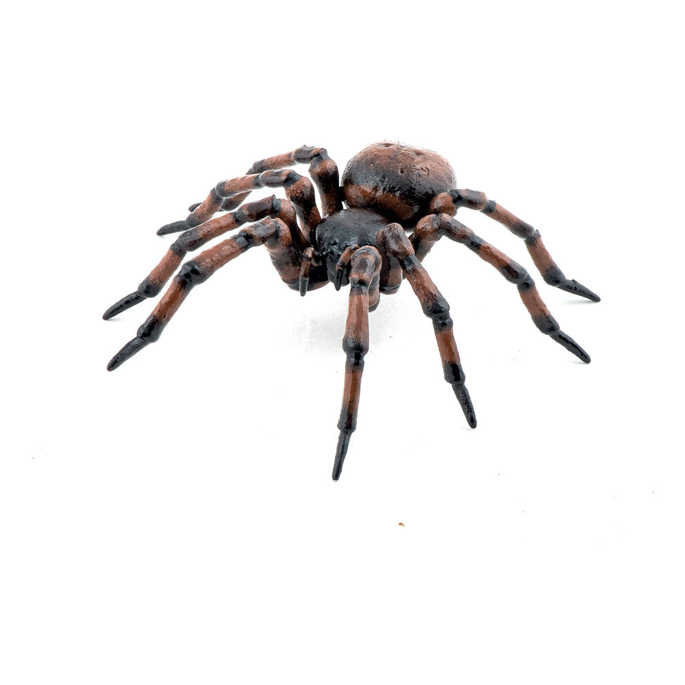Papo Wild Life in the Garden Common Spider Toy Figure