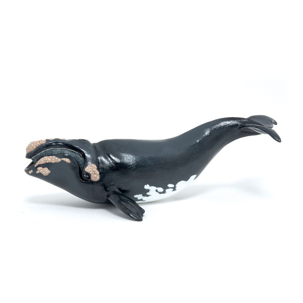 Papo Marine Life Right Whale Toy Figure