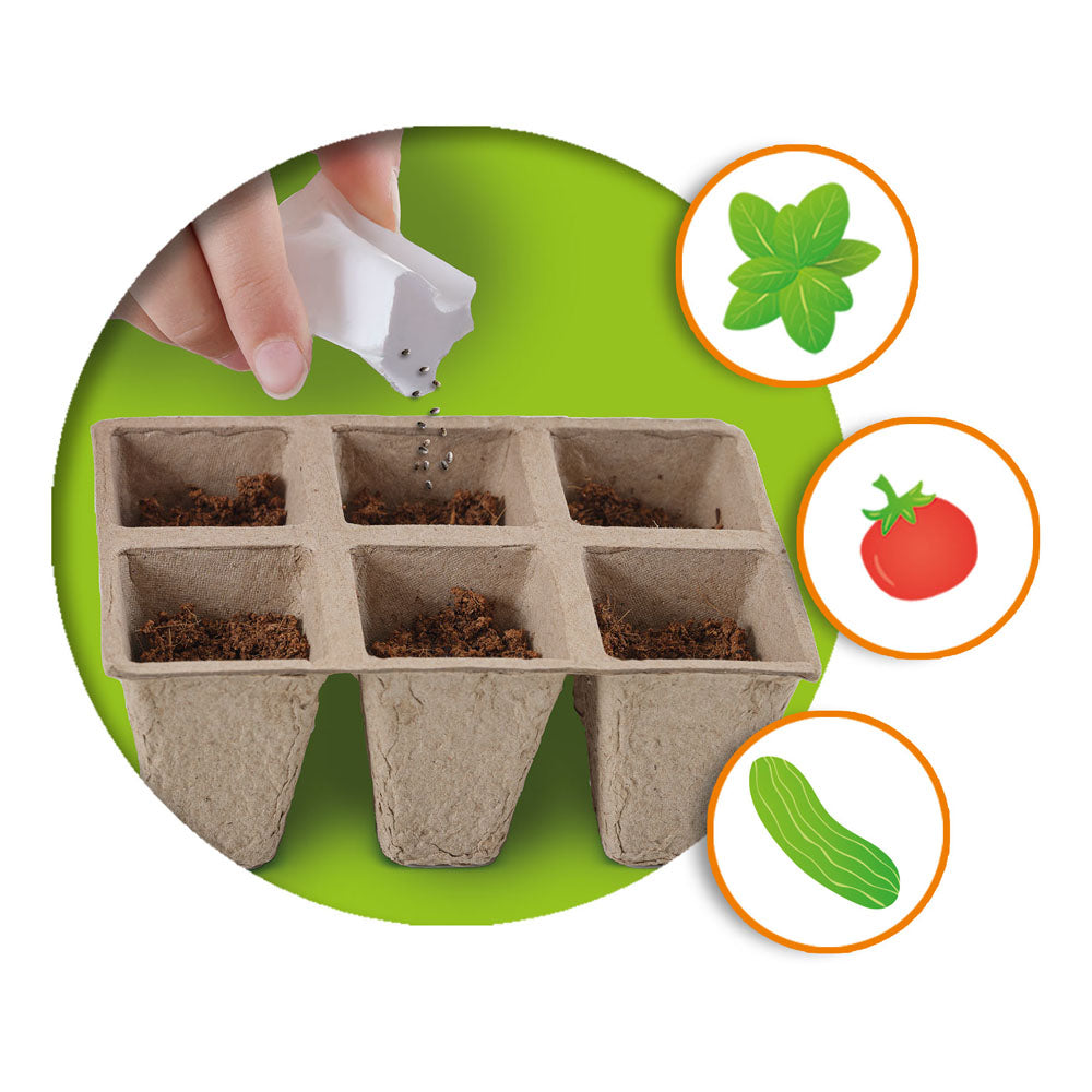 SES Creative Explore Greenhouse Veggies