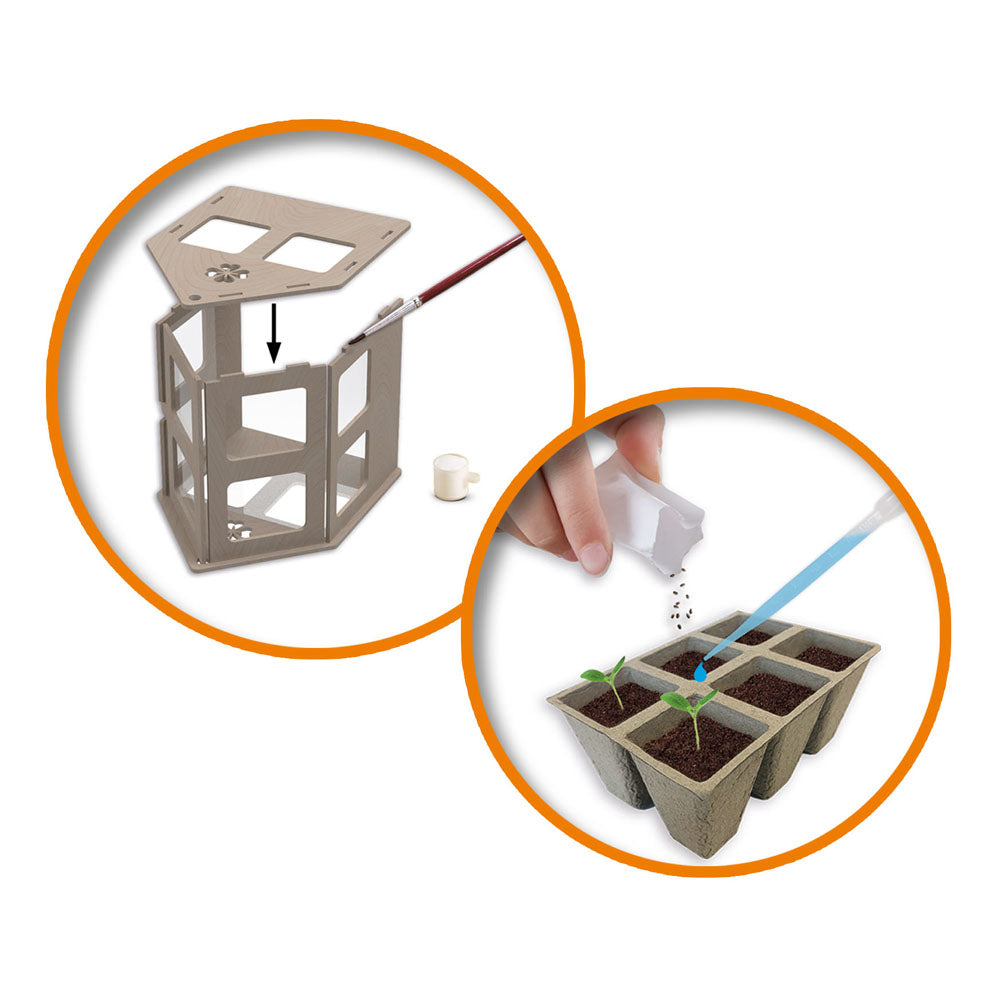 SES Creative Explore Greenhouse Veggies